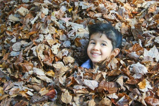 Preschool boy in brown leaves