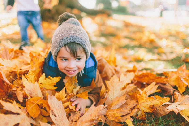 Toddler playing in leaves